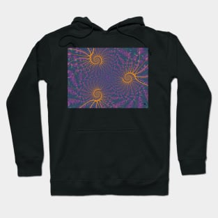 Golden Spirals Hoodie